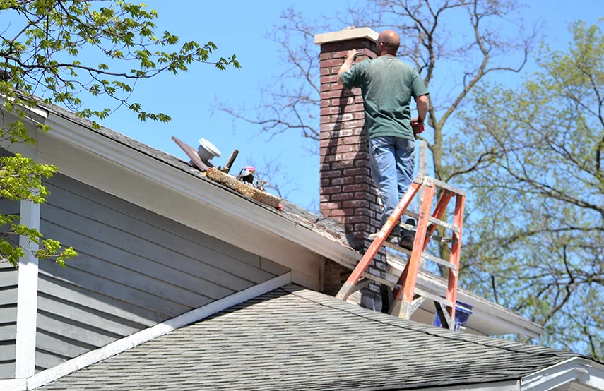 Chimney & Fireplace Inspections Services in Milton, GA